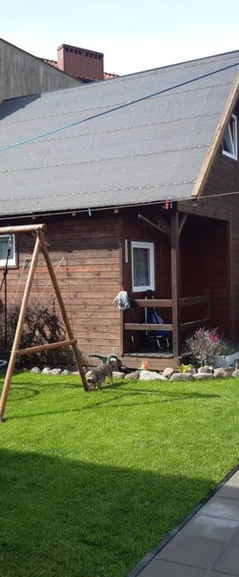 Domek drewniany i pokoje gościnne u Buczka