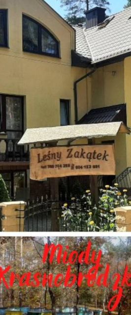 Leśny Zakątek