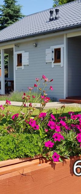 Domki letniskowe Chabrowa 1