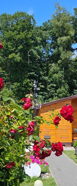 Domki letniskowe Wikar 