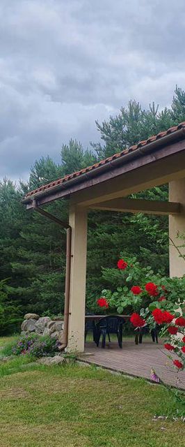 EKOTURYSTYKA NAD SZMARAGDOWĄ ZATOKĄ