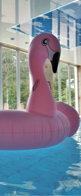 Ośrodek Wypoczynkowy Radew Rosnowo