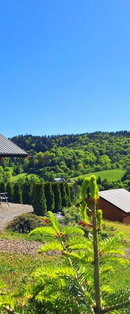 Domki na górze widokowej Plisz