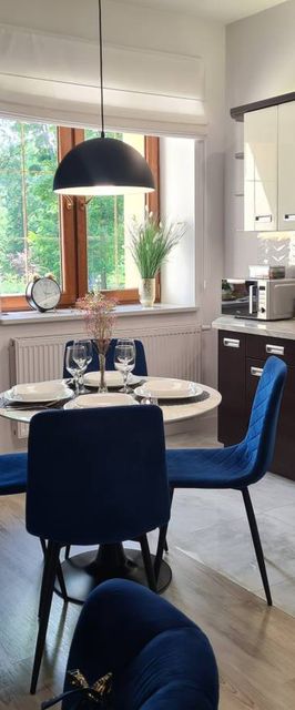 Apartament Mountains Góry Sowie