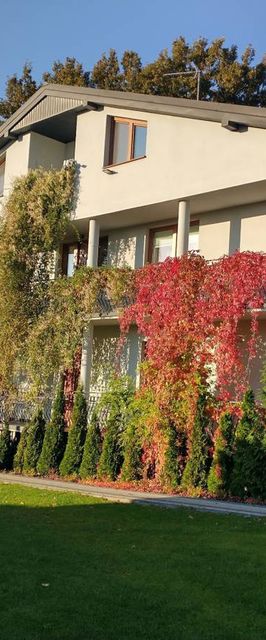 WILLA AMBER ZAKOŚCIELE