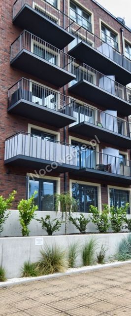 Blue Star Apartament