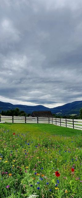 Rajska Chata w górach z Balią