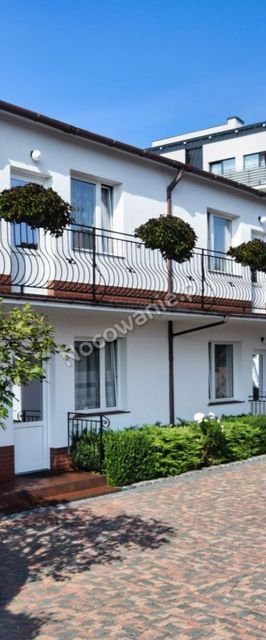 Dynia Roman - Wynajem Kwater