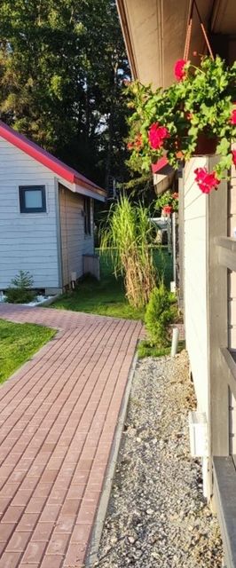 Domki Zacisze za lasem