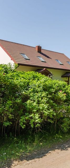 Domki Bliźniaki Dla Rodzin (Akceptujemy Niegroźne Pieski) 