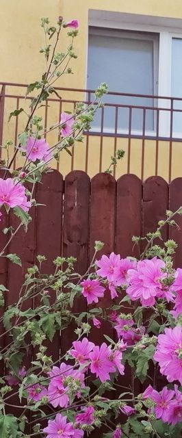 Pokoje Gościnne U Eli