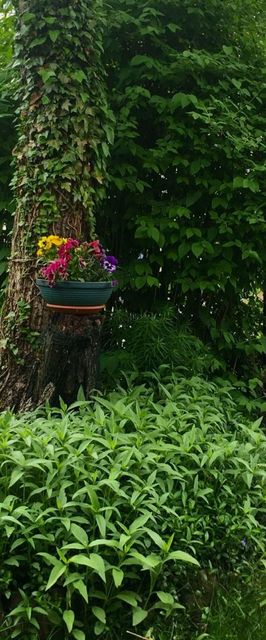 Pokoje Gościnne u Piotra