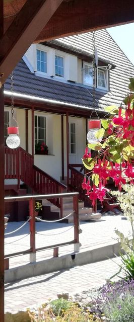 Pokoje Gościnne Akwarium