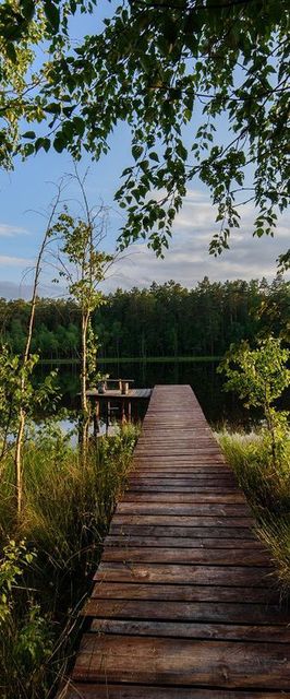 Las i Woda - Wypocznij na Mazurach !