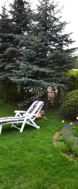 MAZURY- Domek letniskowy Nila z sauną 