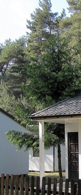 Domki letniskowe Star-Camp