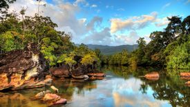 Już nie tylko Turcja i Egipt. Polacy coraz częściej wybierają bardziej egzotyczne kierunki, np. Madagaskar.
