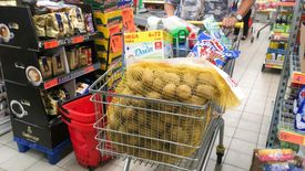 Zyski dużych firm handlu detalicznego poszły mocno w górę, rośnie też liczba małych sklepów