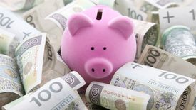 Polacy coraz mniejszą część dochodów odkładają do skarbonki