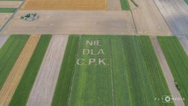 To napis, który pojawił się w miejscu, gdzie za kilka lat ma powstać Centralny Port Komunikacyjny