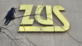 ZUS: Ukraińcy uzbierali najwięcej. Sprawdź, ilu pracowników zza granicy ma swoje konta w Polsce