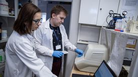 Koronawirus w Polsce. Naukowcy Polskiej Akademii Nauk stworzyli test diagnostyczny