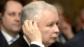 Banki, sprzedawcy samochodów i opon, sklepy z elektroniką, tekstyliami i sieci marketów, operatorzy kin oraz firmy turystyczne i hotelarskie - to lista firm, które korzystają najbardziej na transferach z budżetu do ludzi.