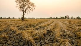 PAN - człowiek główną przyczyną zmian klimatycznych.