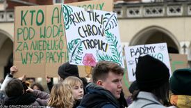 Młodzieżowy Strajk Klimatyczny. Młodzi Polacy wyszli już na ulice polskich miast w marcu. Z tego samego powodu