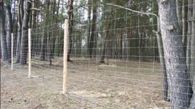 Płot ma zatrzymać migrację dzików i powstrzymać rozwój ASF