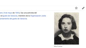 Polska Fundacja Narodowa sfinansowała tłumczenia m.in. na angielskiej i hiszpańskiej Wikipedii