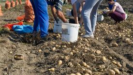 Za pieniądze można wszystko - mówią Ukrainki, które pieniądze zarobione w Polsce, wydają na łapówki dla lekarzy.