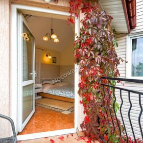 Pokoje wypoczynkowe Petra