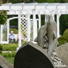 Ośrodek Rehabilitacyjny Leśna Polana