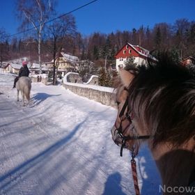 Agroturystyka-Zagroda Studzienno