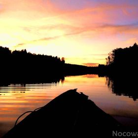 Król Puszczy nad jeziorem Mokre