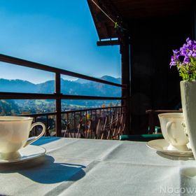 Dom na Zielonym Wzgórzu