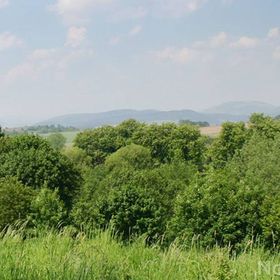 Dom Na Wzgórzu