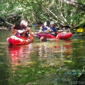 Domek na Mazurach Leśne Zacisze