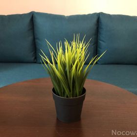 Apartament Pod Czwórką