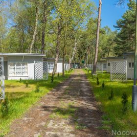 Sosenki - Domki Letniskowe