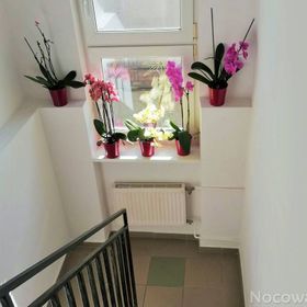 Pokoje Gościnne U Eli