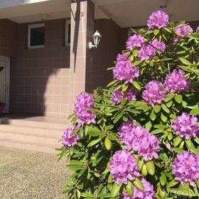 Astoria Usługi Hotelarskie