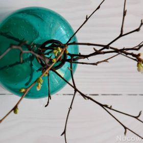 Pokoje Gościnne EWELA 