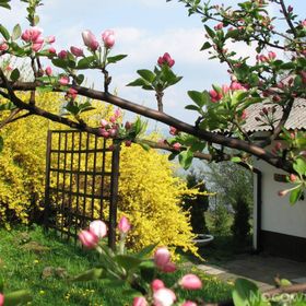 Centrum Wypoczynku Odys