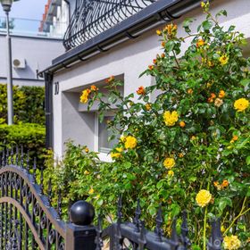 Dom Gościnny Sternik