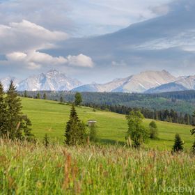 MC82 Anna i Marek Łukaszczyk