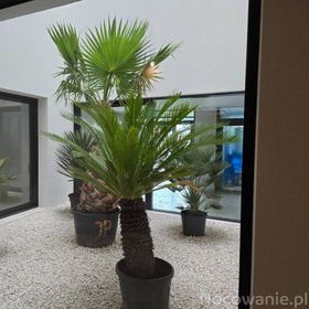 Apartament Baltic Waves Resort