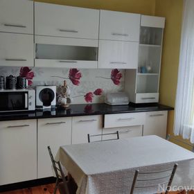 Agroturystyka u Drwala