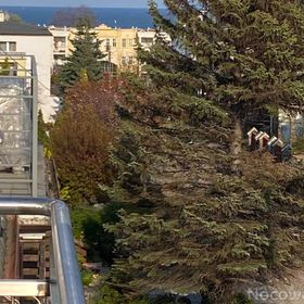 Pokoje Gościnne i Apartamenty